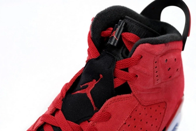 CT8529-600 Toro Air Jordan 6 0709